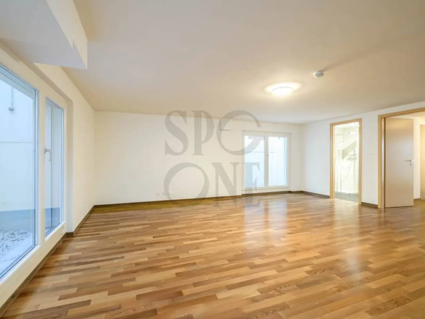 Family Villa - Vandoeuvres - Photo 11 of 12