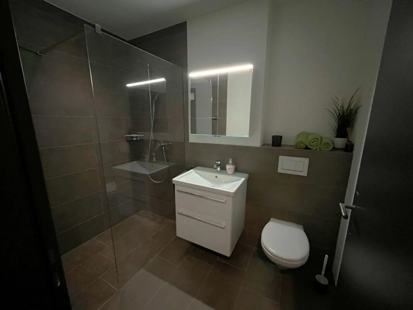 Modernes 3.5-Zimmer-Apartment - Foto 6 von 12