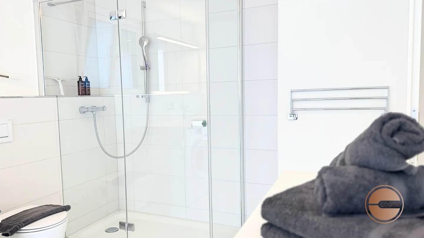 APPARTEMENT CENTRAL EN ATTIC À ZURICH NORD - Photo 13 sur 14