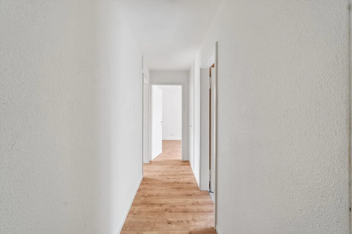 Charming Garden Apartment - Photo 7 of 9