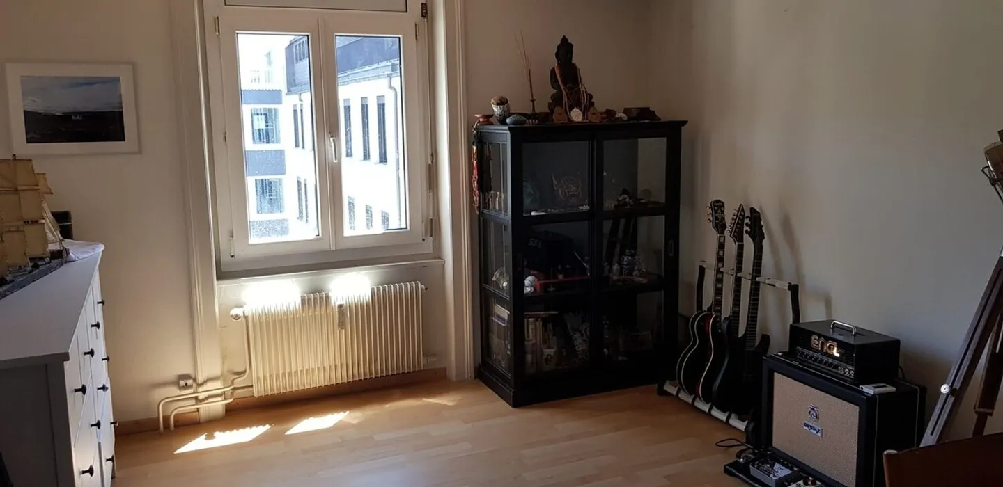 Vivere nel cuore di Neustadt Lucerna - Ideale per i pendolari - Foto 5 di 8