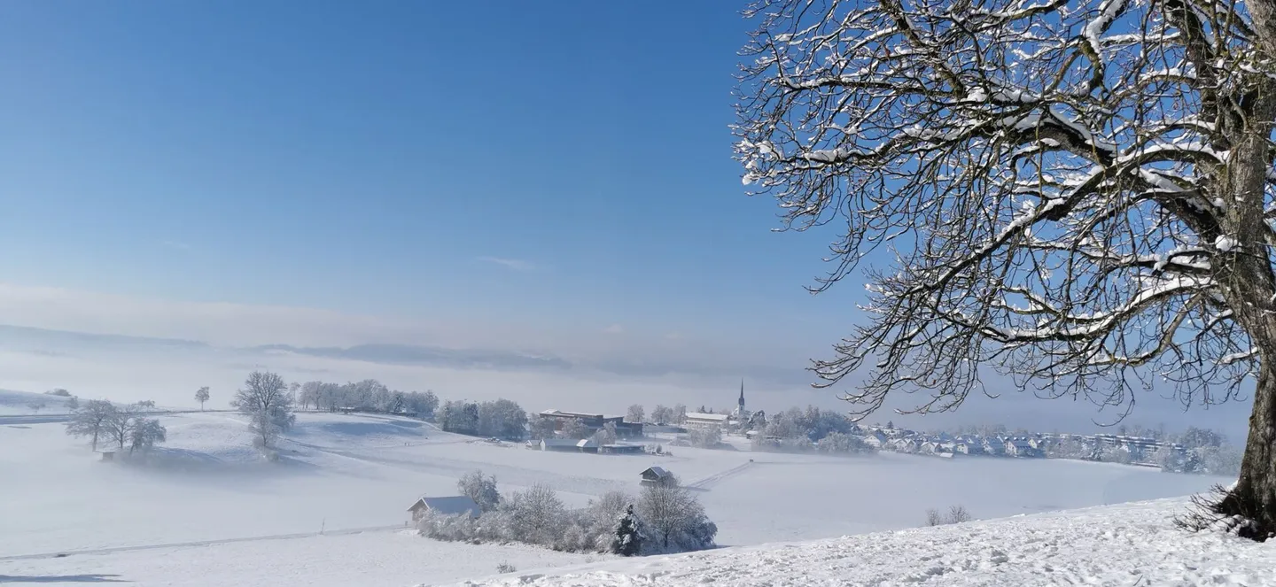 Plenty of Space - Sunny - Close to Nature - Photo 12 of 12