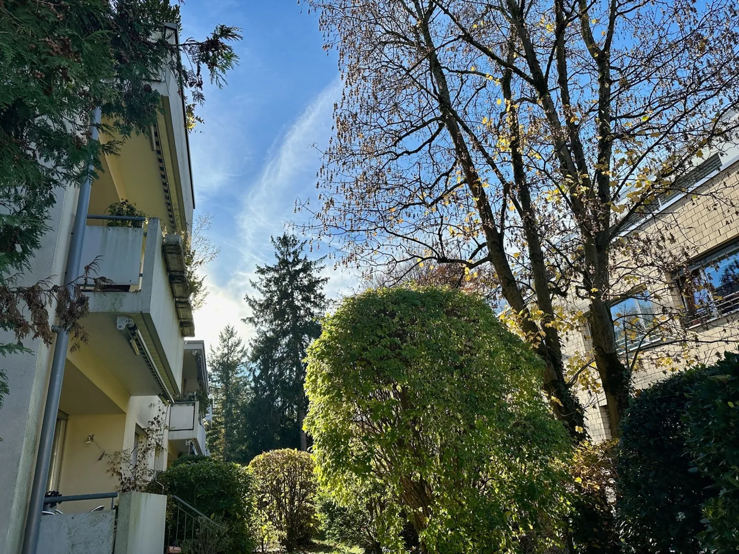 Ottimo appartamento in una posizione tranquilla con vista sul verde a Riehen - Foto 13 di 14