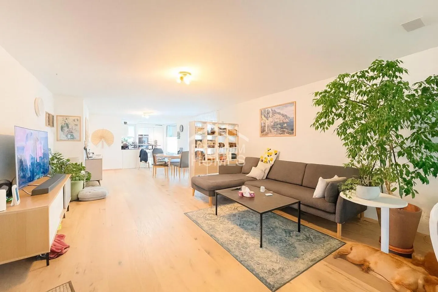 Più che vivere? Un modo di vivere - Foto 12 di 13