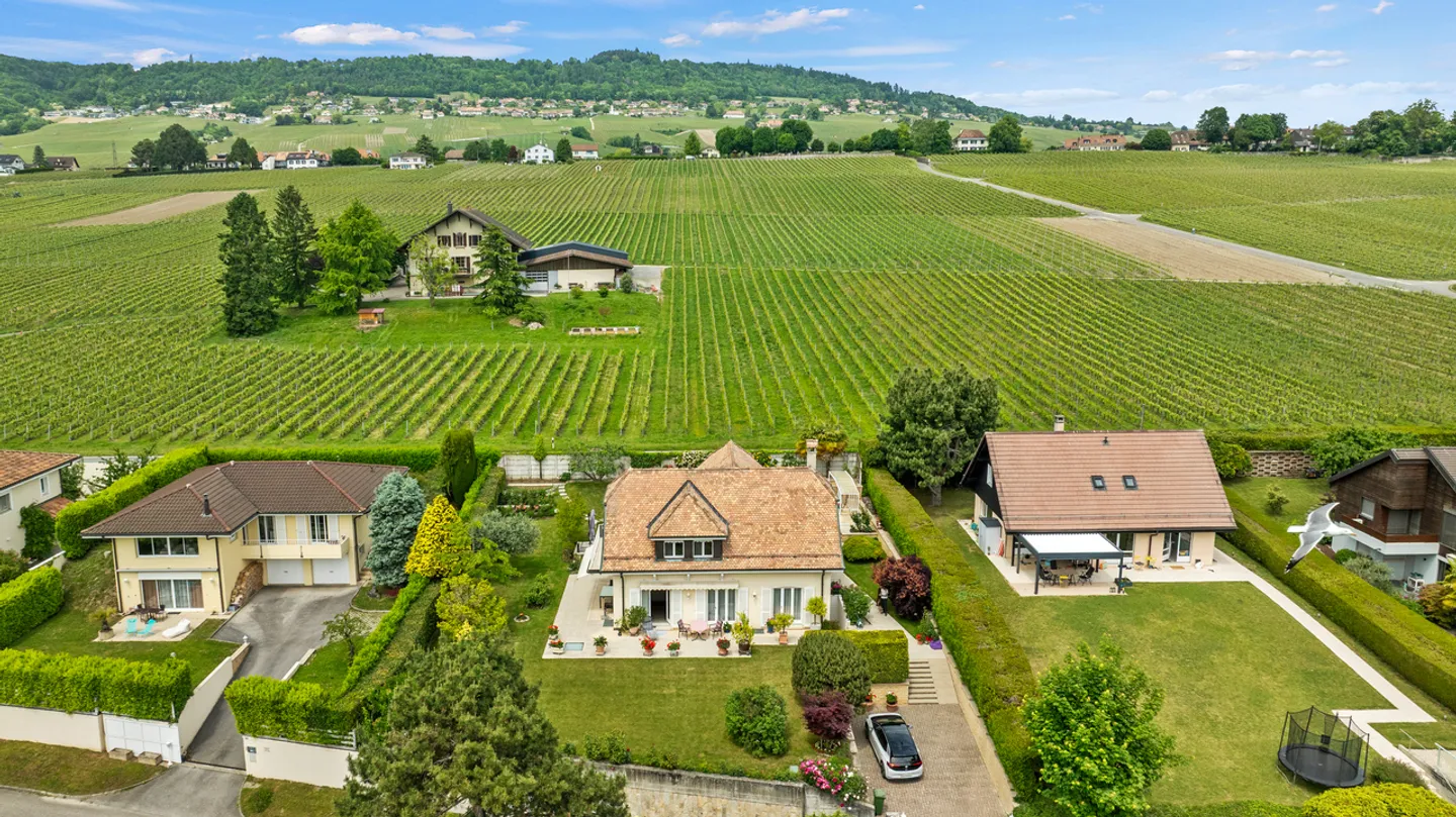 Lakefront Property with Pool in Perroy - Photo 17 of 18