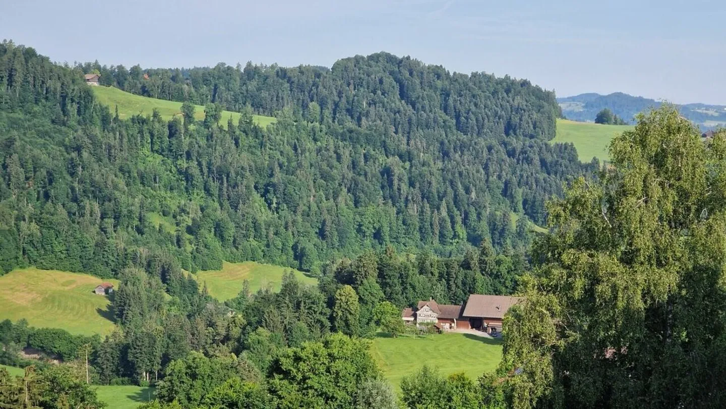 Charmante Dachwohnung mit Traumhaftem Blick - Foto 20 von 38