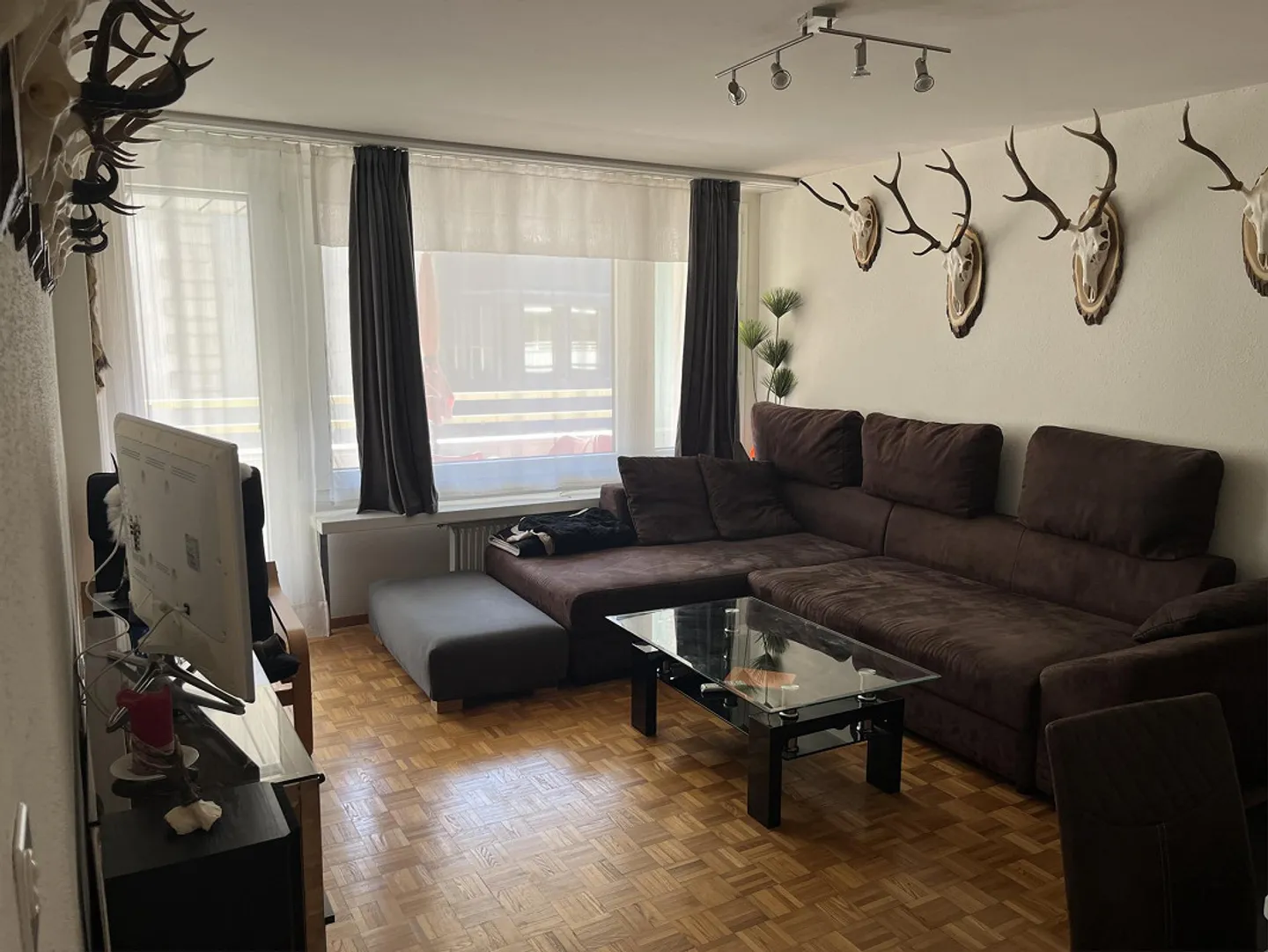 Cercasi nuovo inquilino per appartamento luminoso di 2,5 stanze molto centrale - Foto 1 di 1