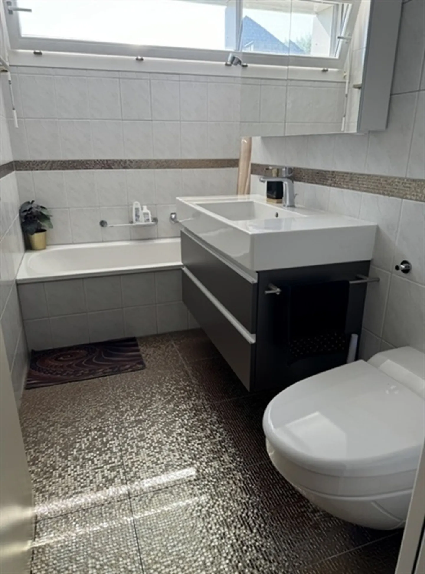 2½ ROOM APARTMENT IN RAPPERSWIL (SG), FURNISHED, TEMPORARY - Photo 9 of 10