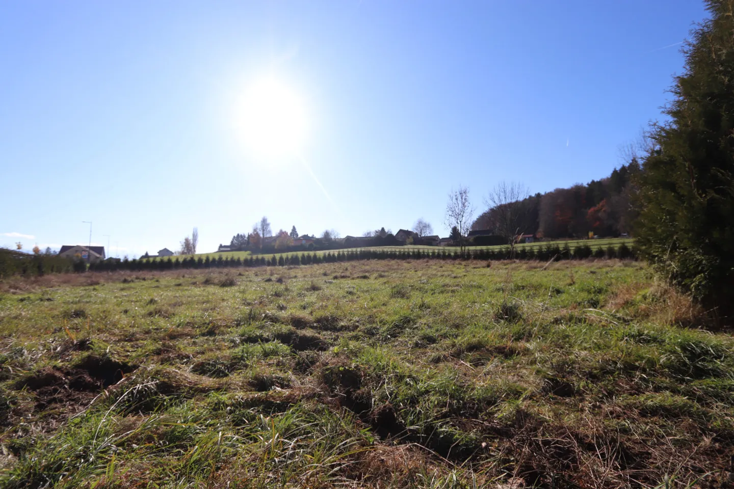 Detached 3.5 room villa with 3,405 m2 plot in an intermediate zone - Photo 2 of 8