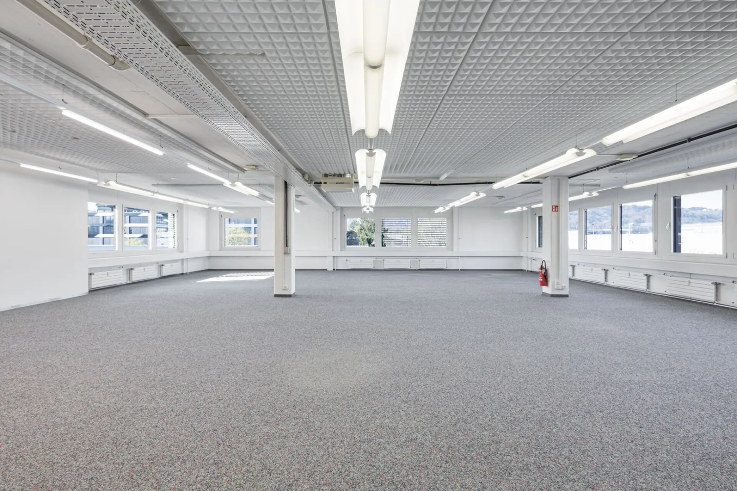 Ihr neuer Firmenstandort im Industriequartier Dietikon - Foto 3 von 9