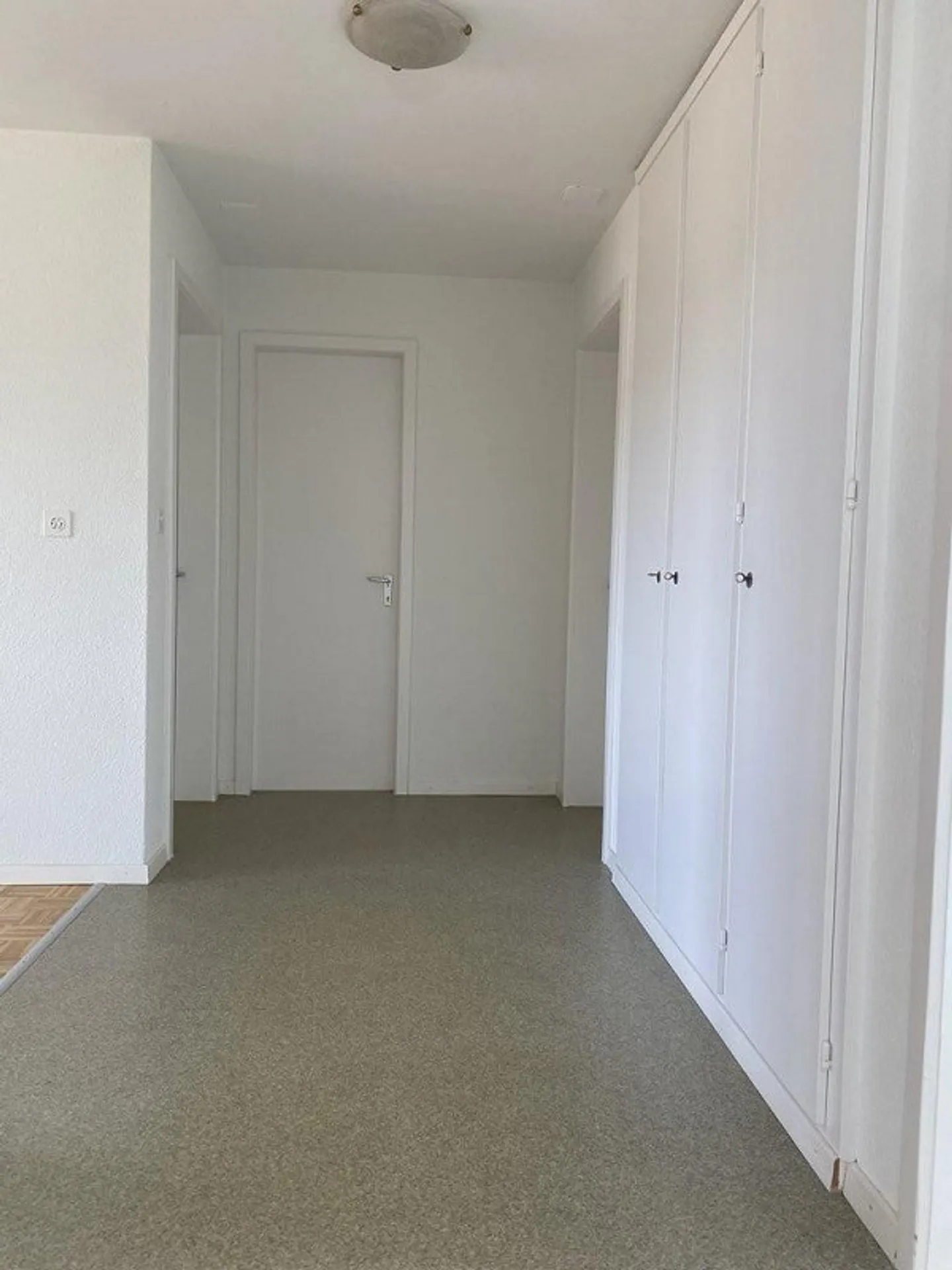 Appartement spacieux à Seeland! - Photo 9 sur 10