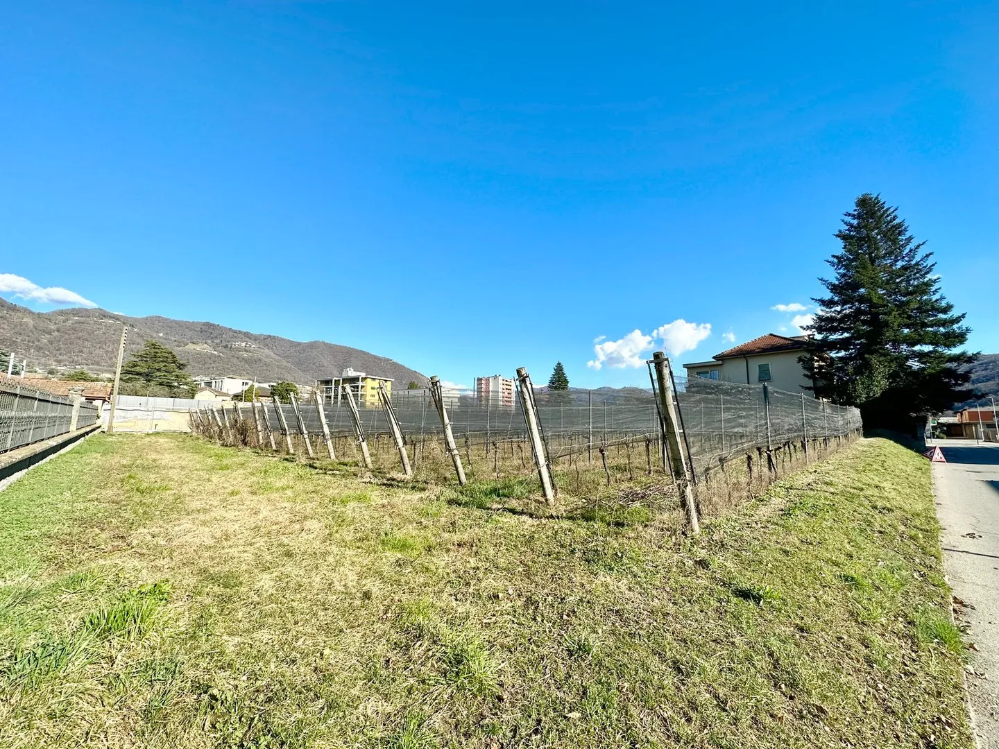 Buildable land with easy access - Photo 1 of 17