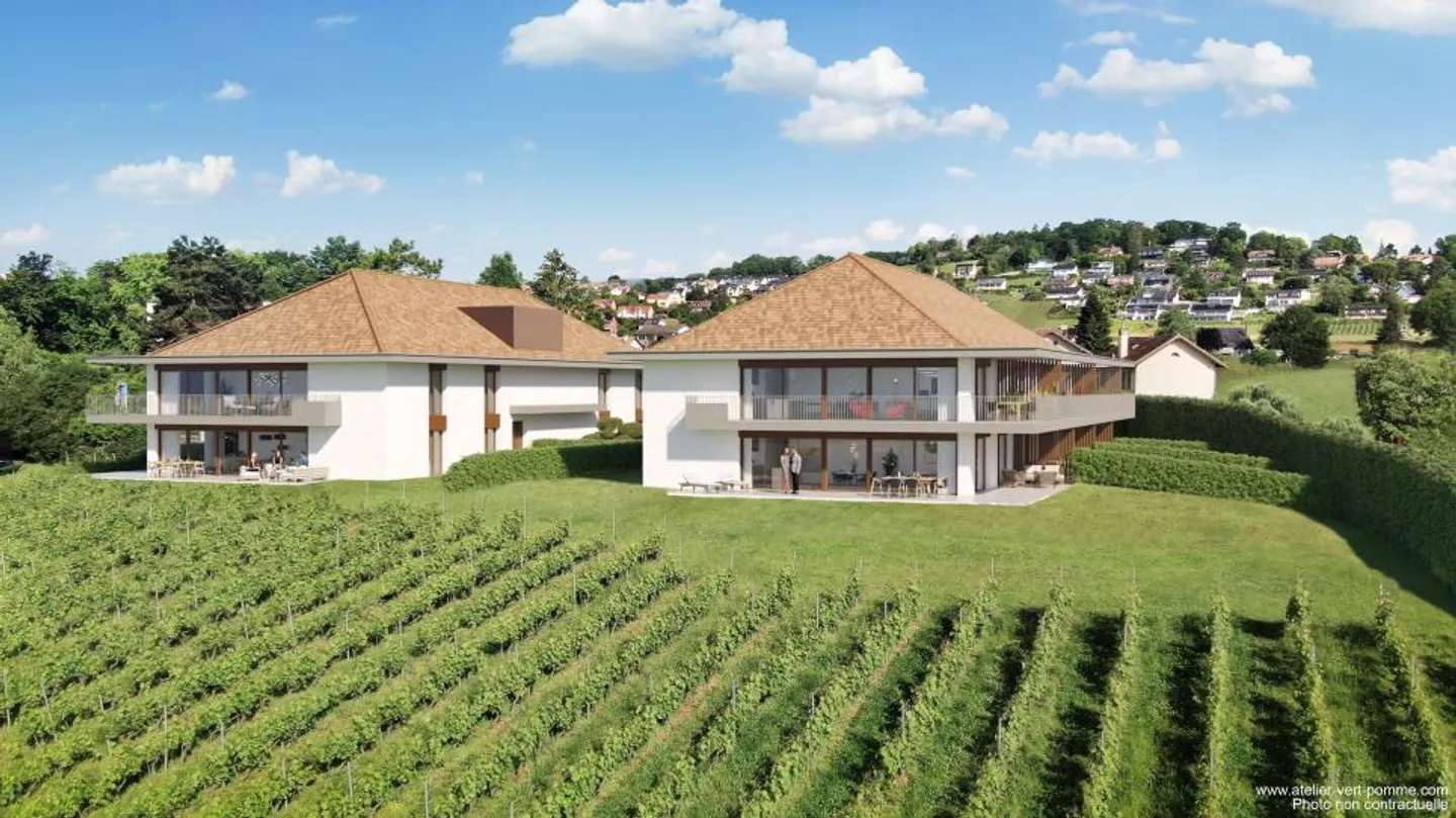 New Residence in the Heart of the Vineyards in Yens/Morges - Photo 1 of 5