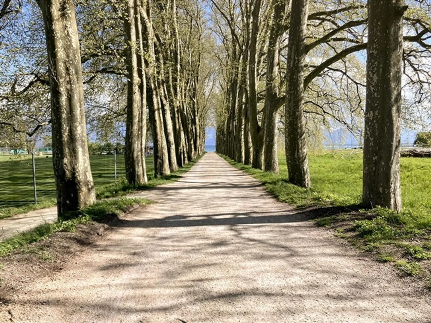 LAUSANNE SÜDWEST - SCHÖNES HAUS - Foto 2 von 3