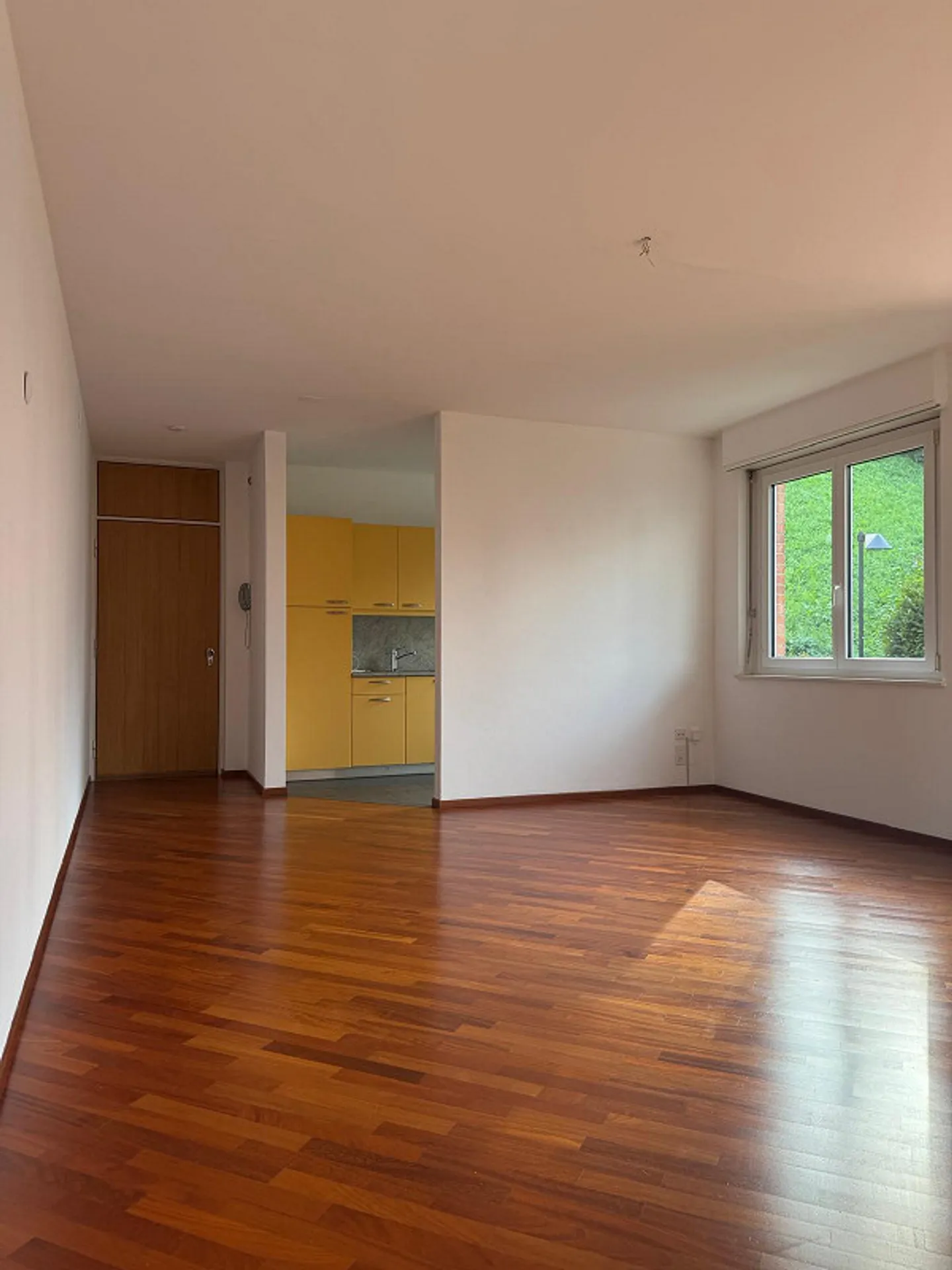 Elegant 2.5 rooms with lake view in Paradiso - Photo 3 of 8