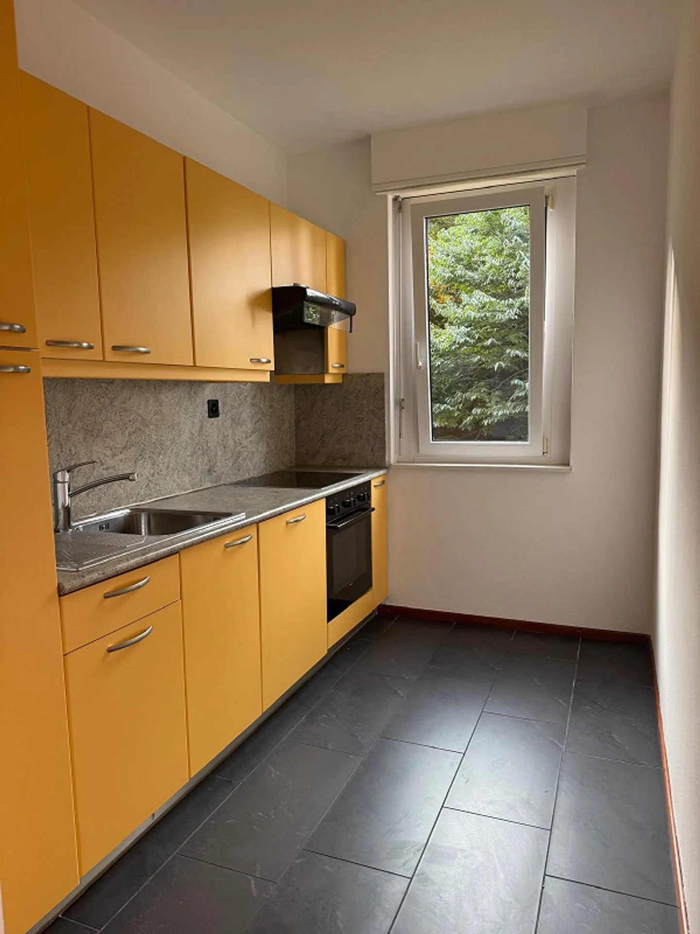 Elegant 2.5 rooms with lake view in Paradiso - Photo 5 of 8
