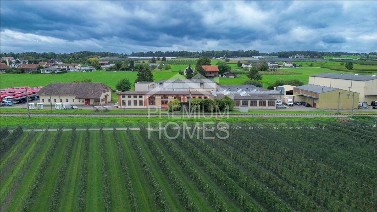 NEW LOCATION FOR SUCCESS AT LAKE CONSTANCE - Photo 2 of 4
