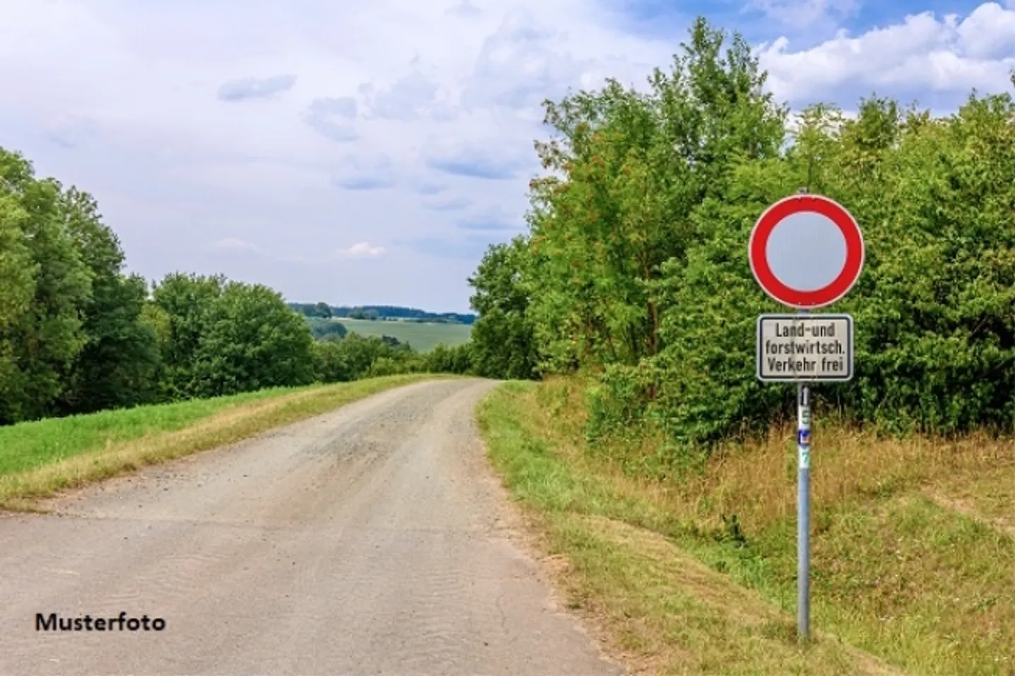 *Agricultural Land* - Photo 1 of 1