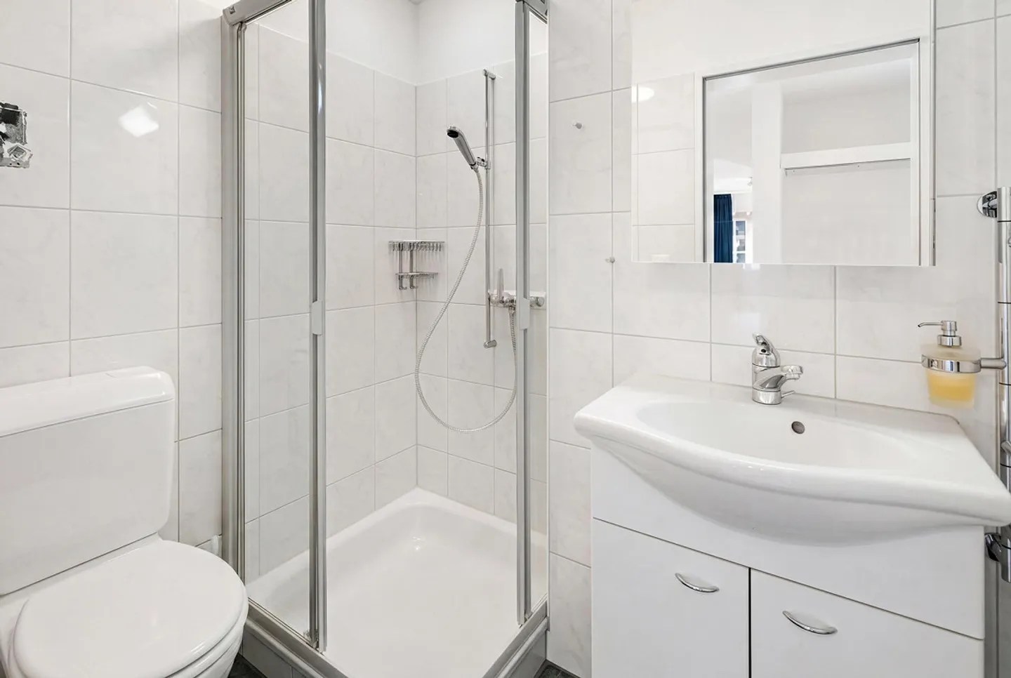 Attractive 4.5-Room Apartment with Top Connection - Photo 11 of 26