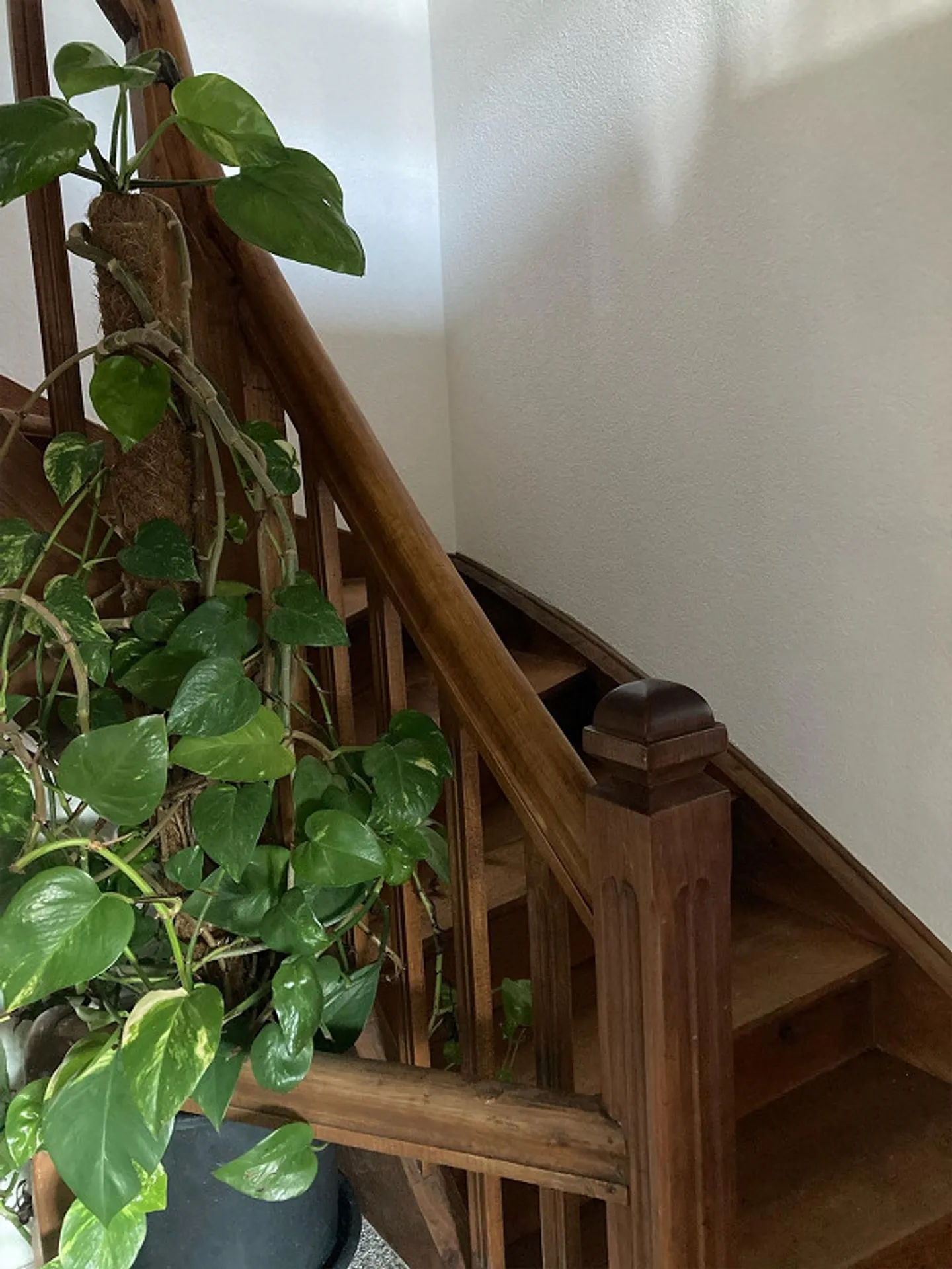 Casa di testa ristrutturata con stile in posizione centrale a Vilters - Foto 6 di 18