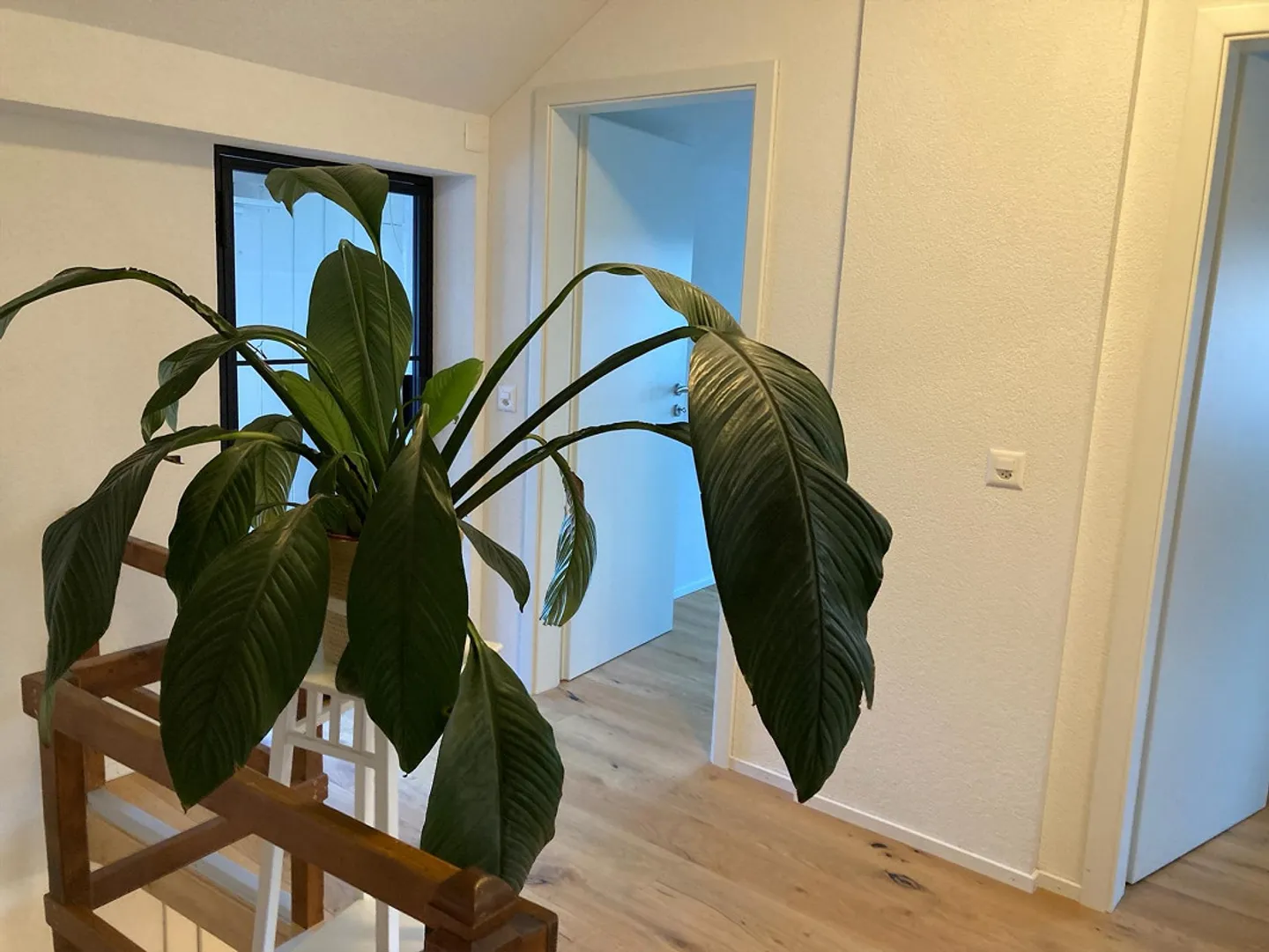 Casa di testa ristrutturata con stile in posizione centrale a Vilters - Foto 7 di 18