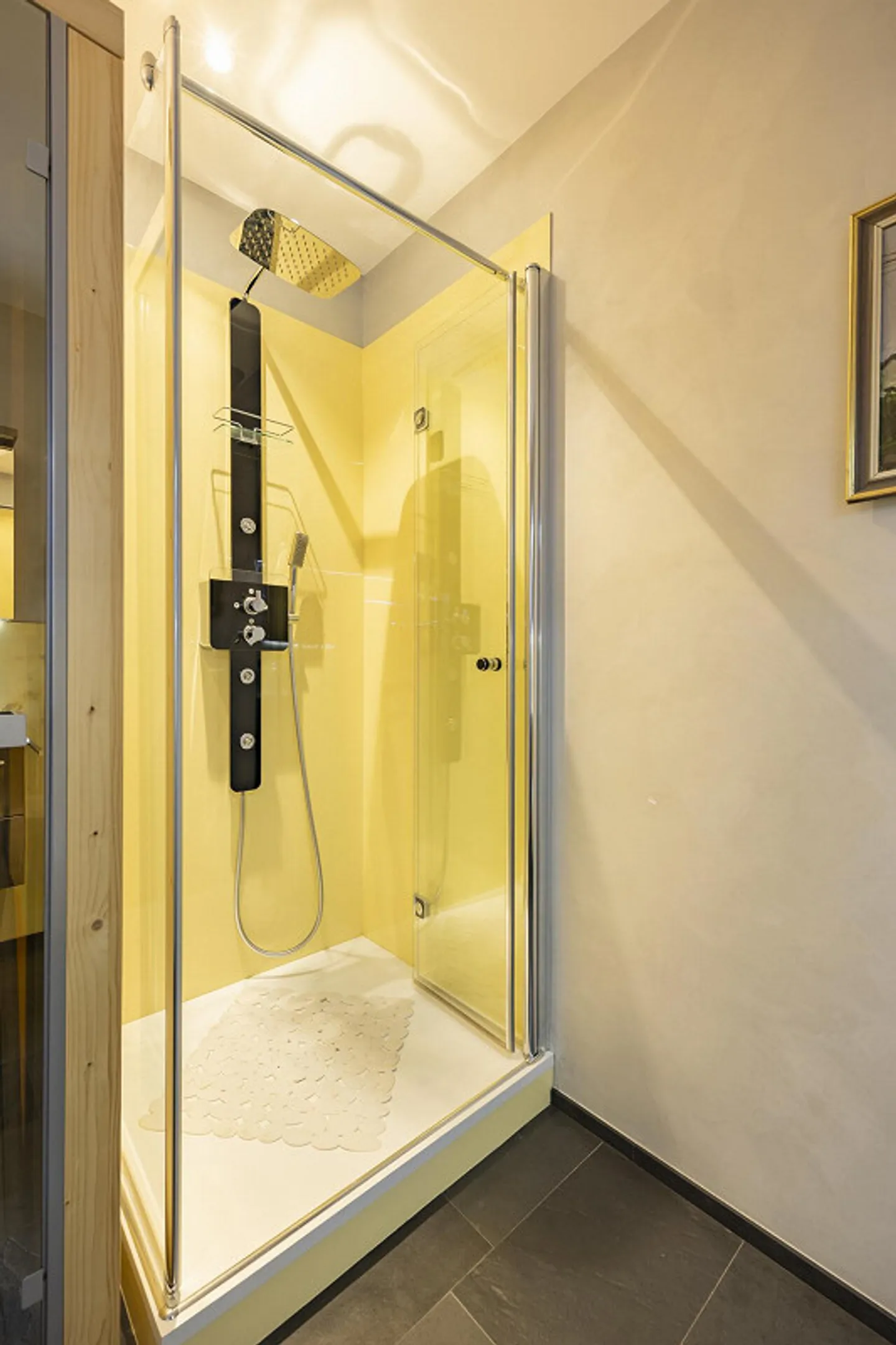 Spacious 3.5-room apartment with lake view and lift on the 1st floor - Photo 9 of 14