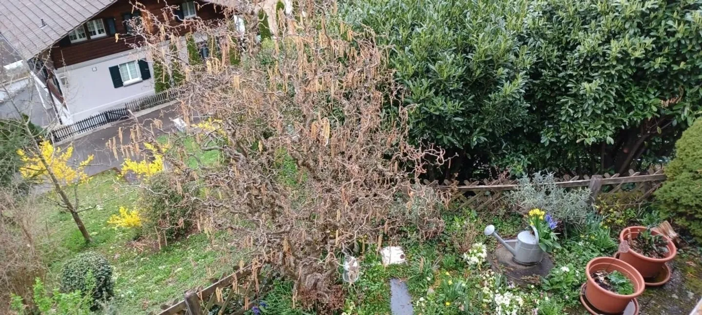 4-Room Corner Single-Family House with Lake View - Photo 2 of 10