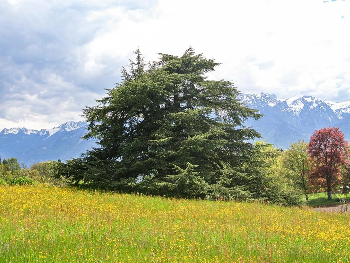 BLONAY - CHARMING PROPERTY - 13.0 ROOMS - Photo 2 of 3