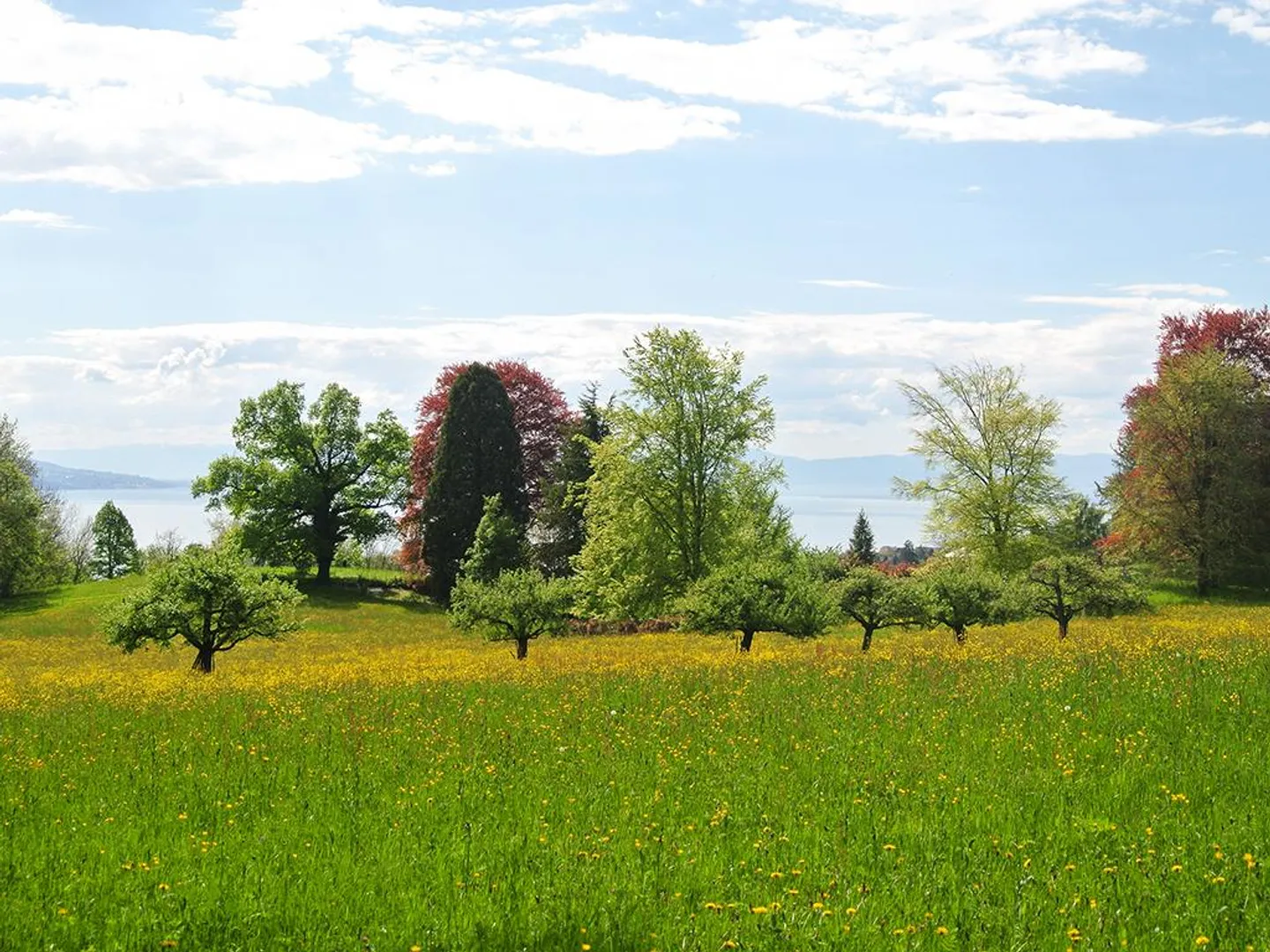 BLONAY - CHARMING PROPERTY - 13.0 ROOMS - Photo 3 of 3