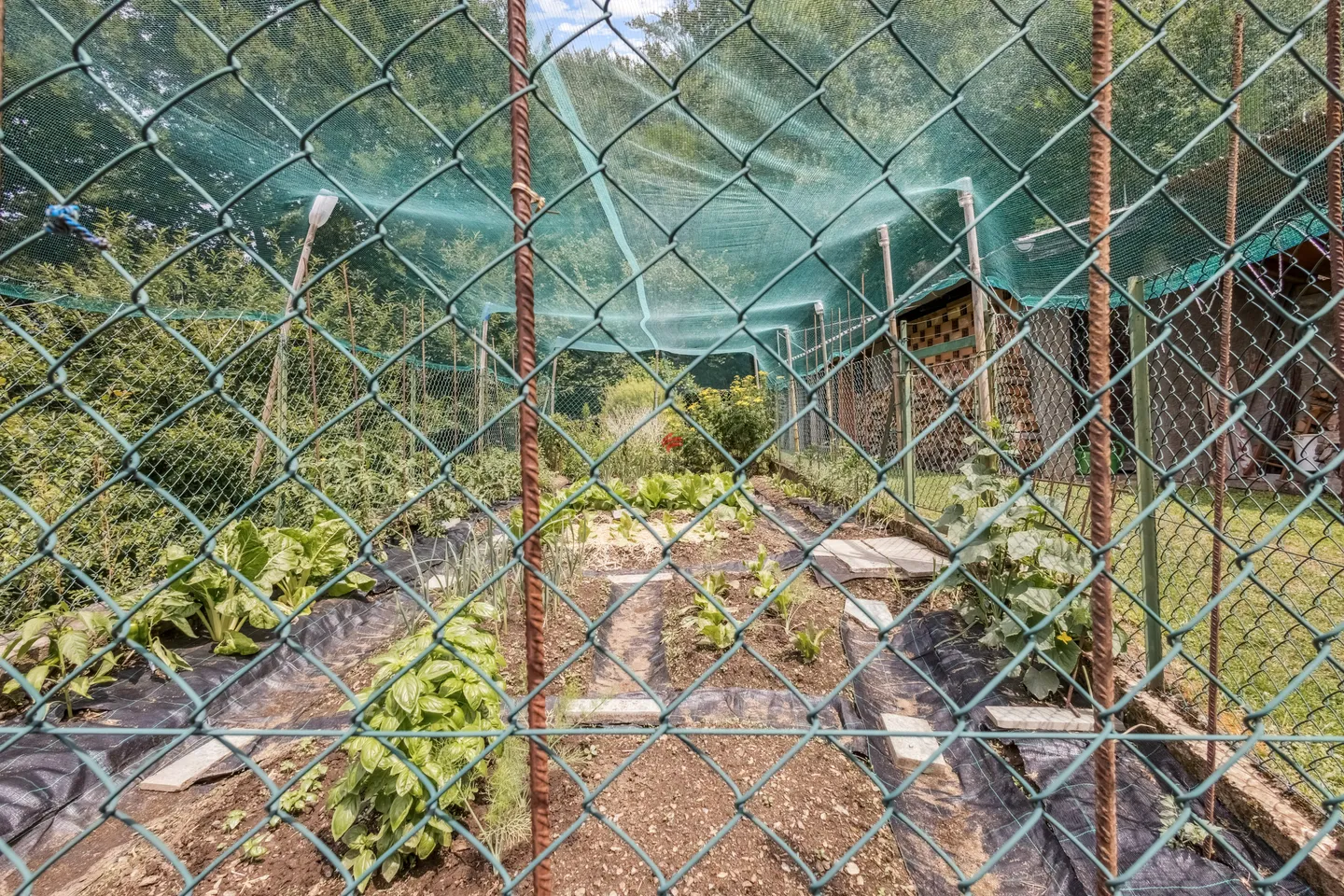 Ein authentisches Refugium mit wertvoller Wassergquelle - Foto 12 von 13