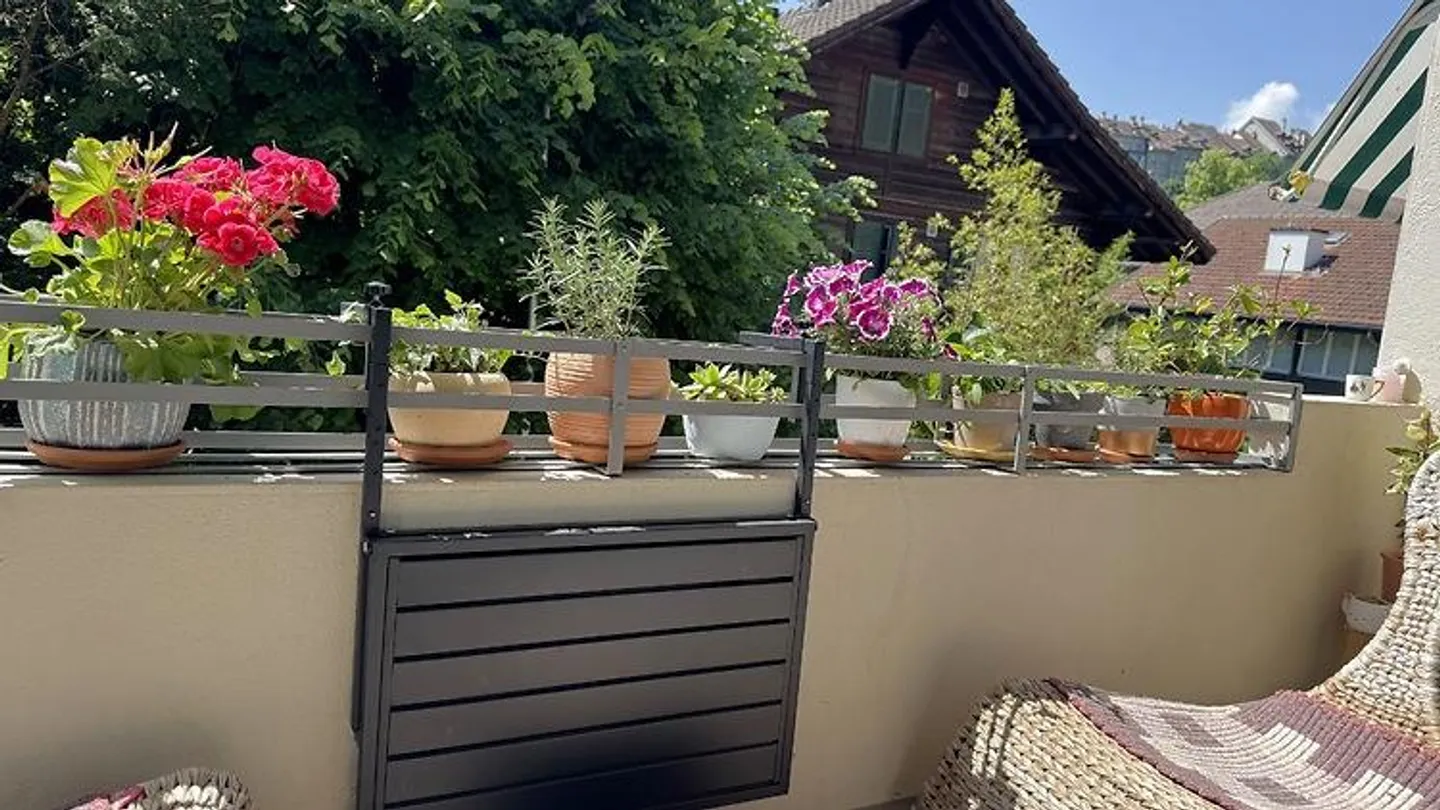APPARTAMENTO 2½ STANZE A BERN - ALTENBERG, ARREDATO, TEMPORANEO - Foto 9 di 10
