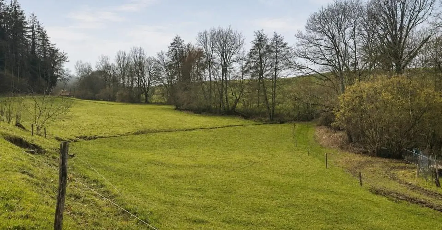 Zwischen Wald und Land? Charmante Immobilie mit 7 Zimmern und Grundstück - Foto 3 von 3