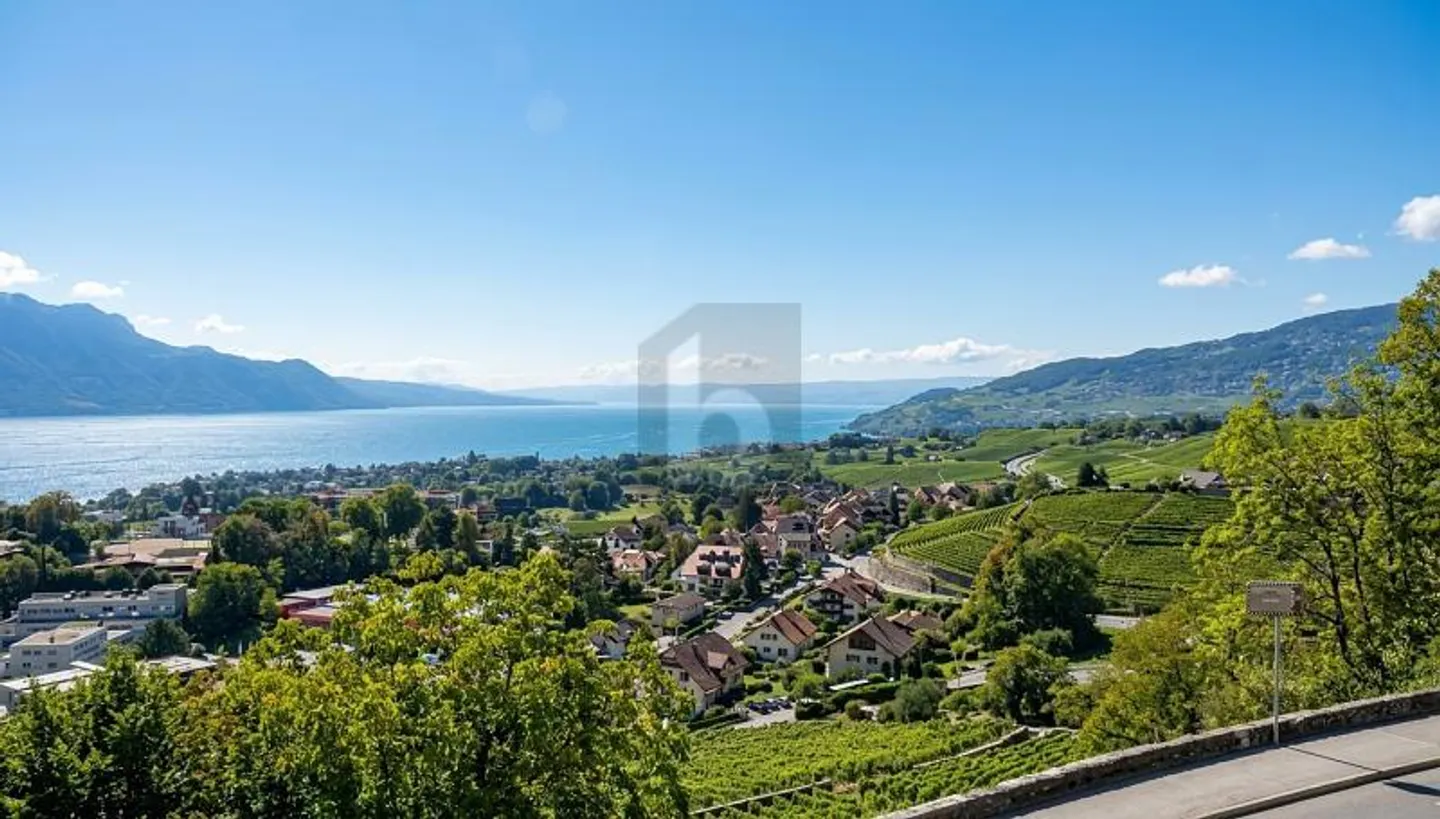 ECCEZIONALE CON VISTA SUL LAGO DI GINEVRA - Foto 1 di 6
