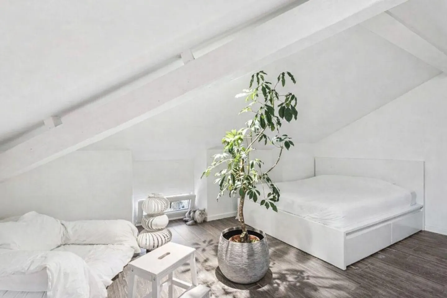 Modern and spacious 1.5 rooms in Vacallo - Photo 2 of 6