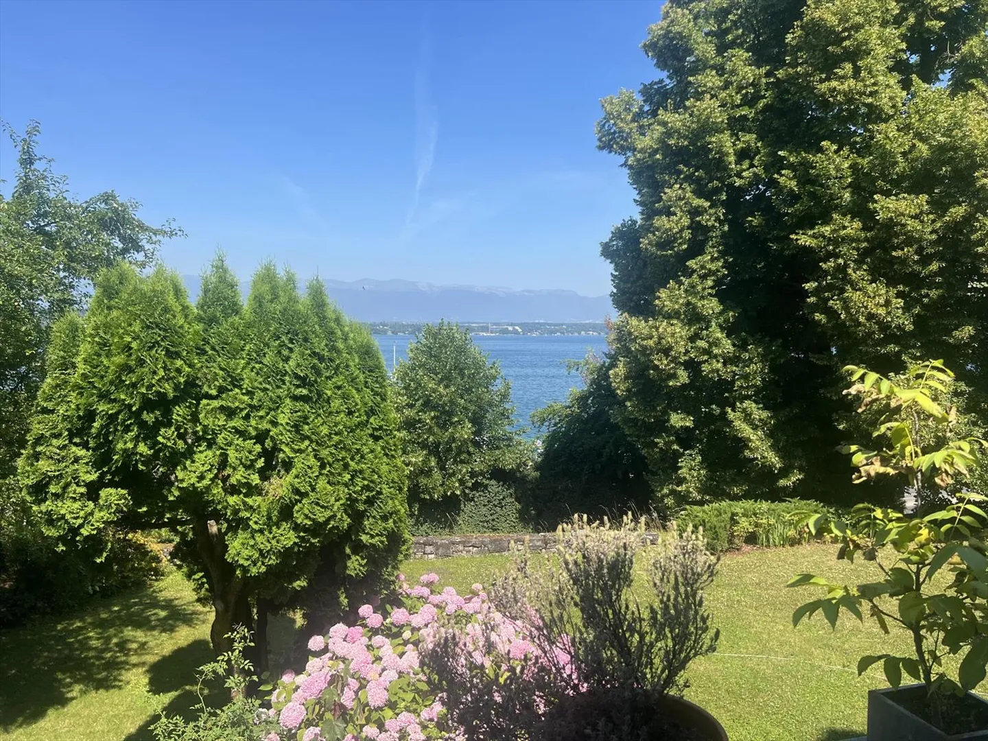 Casa singola in affitto - Foto 3 di 3