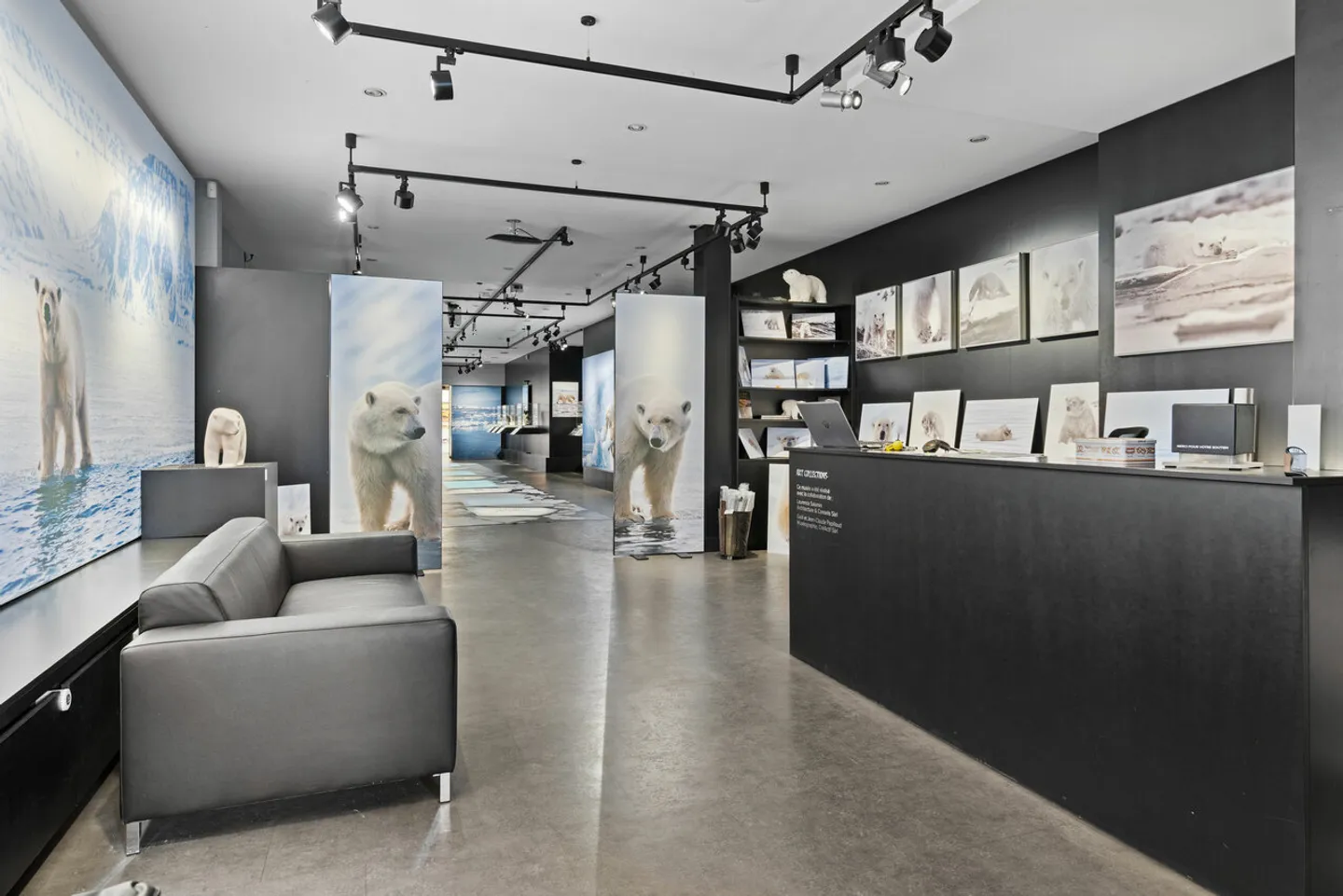 Spacious commercial space in the heart of Montana - Photo 2 of 3