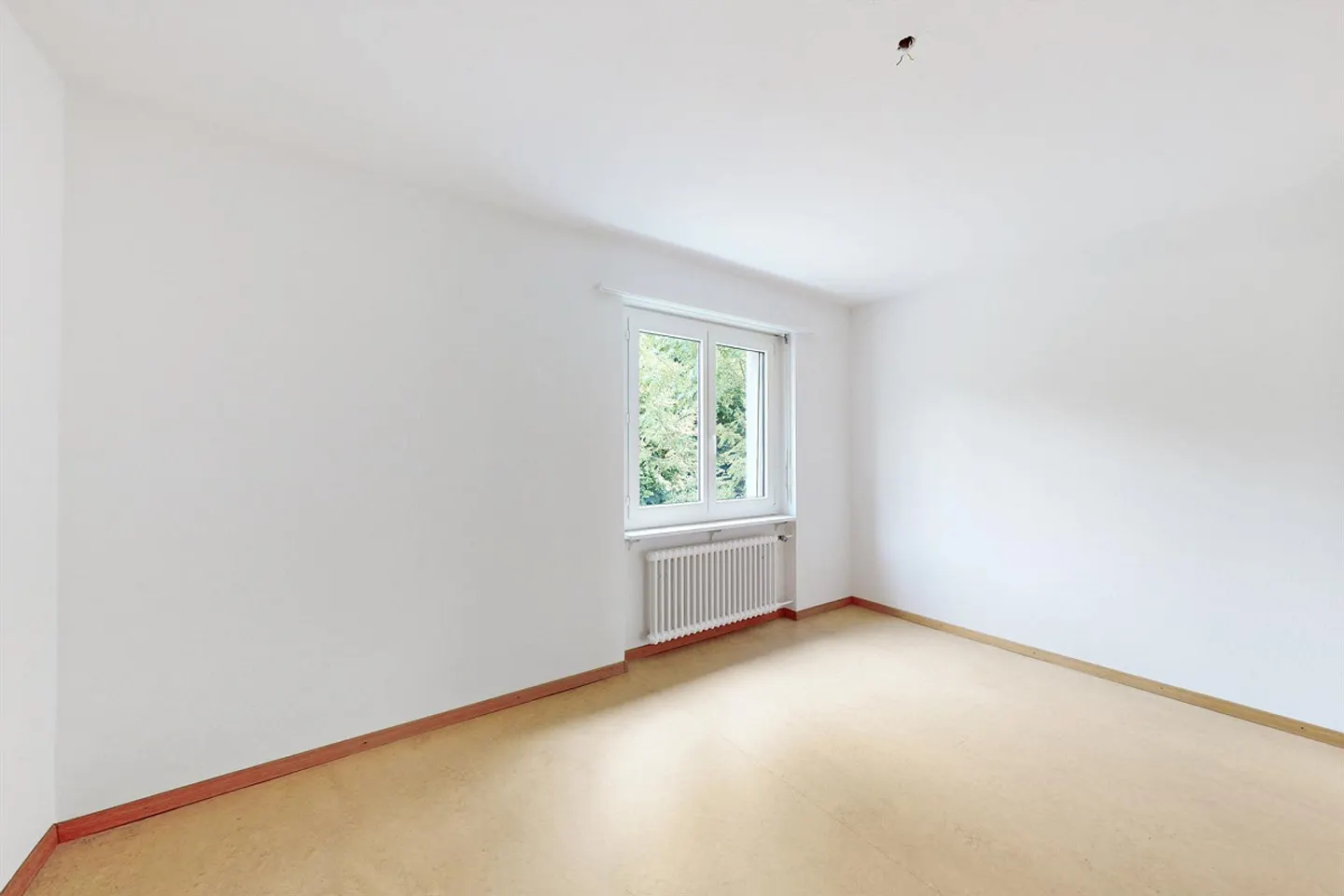 Living quietly, living centrally - Looking for a new tenant from 01.12.2026. - Photo 6 of 12