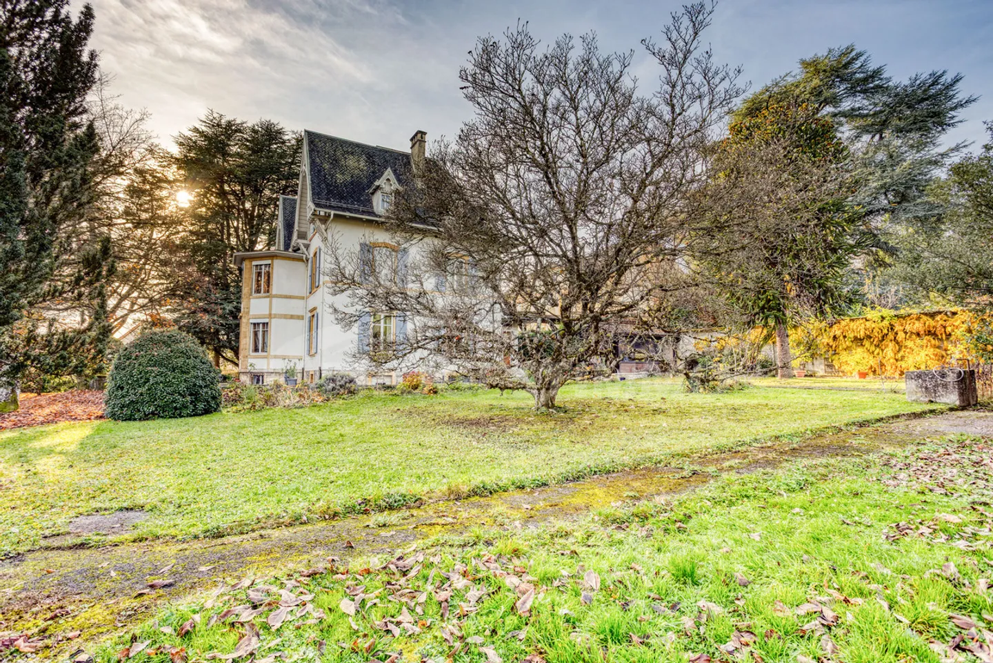 Azienda Lussuosa - Foto 6 di 6