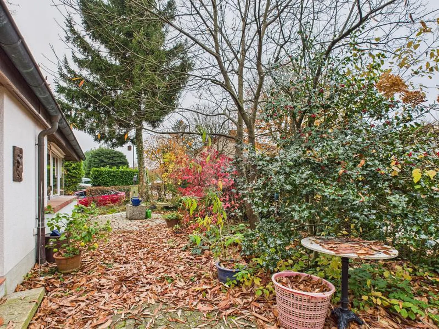 FORGIVE - Photo 5 of 6