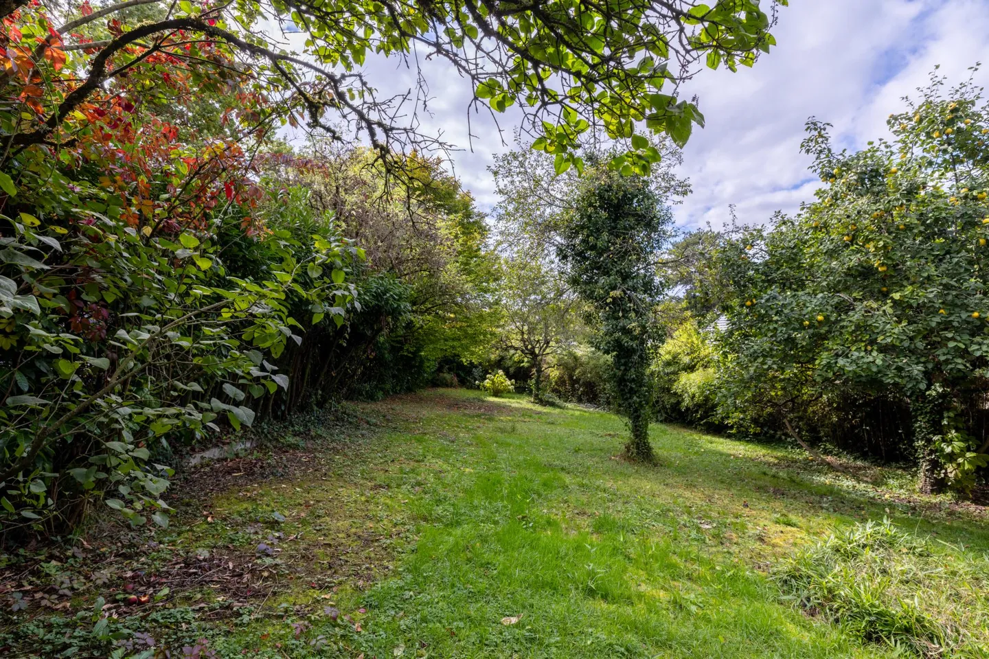 Exceptional! Corsier-Port house to renovate just steps from the lake. - Photo 16 of 16