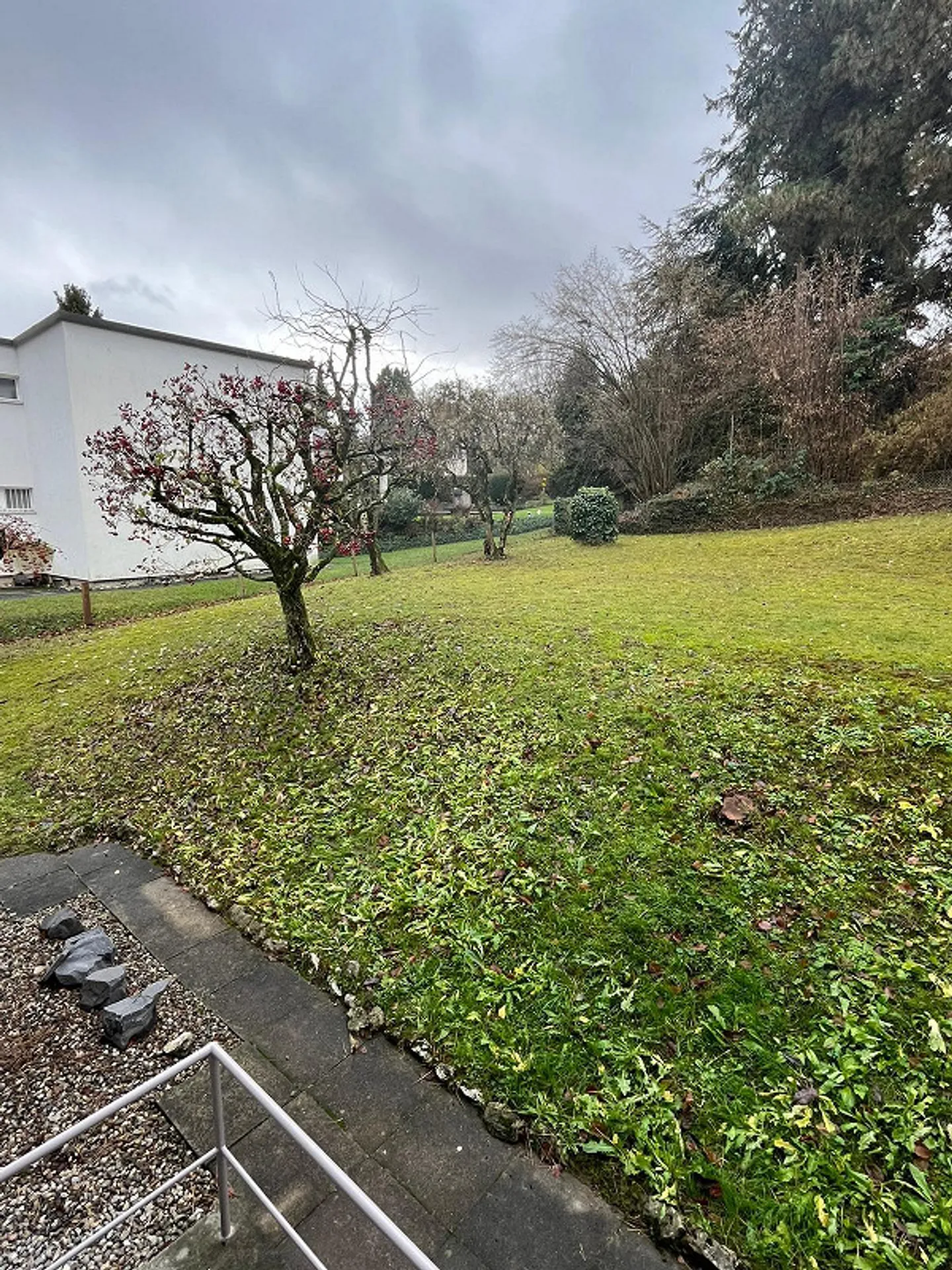 Appartamento ristrutturato di 3,5 stanze in area parco / Centrale ma verde - Foto 8 di 9