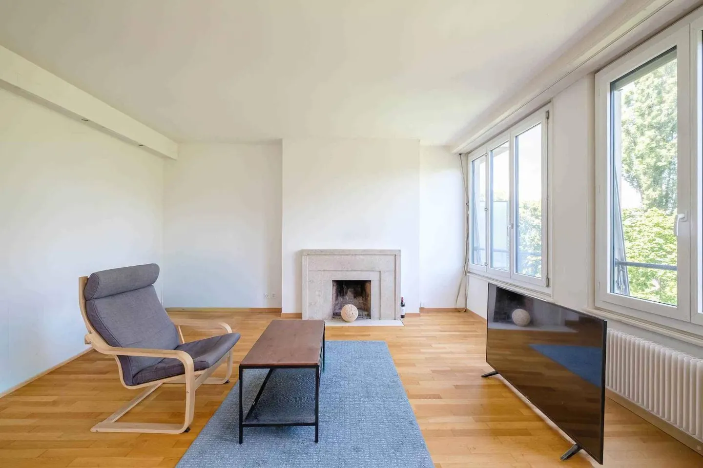 Bel Appartement avec Vue sur le Parc - Photo 1 sur 10