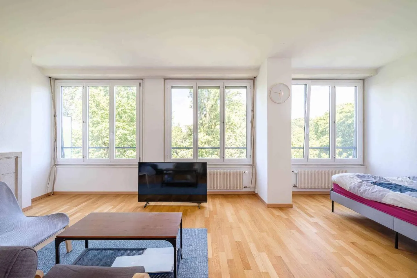 Bel Appartement avec Vue sur le Parc - Photo 3 sur 10