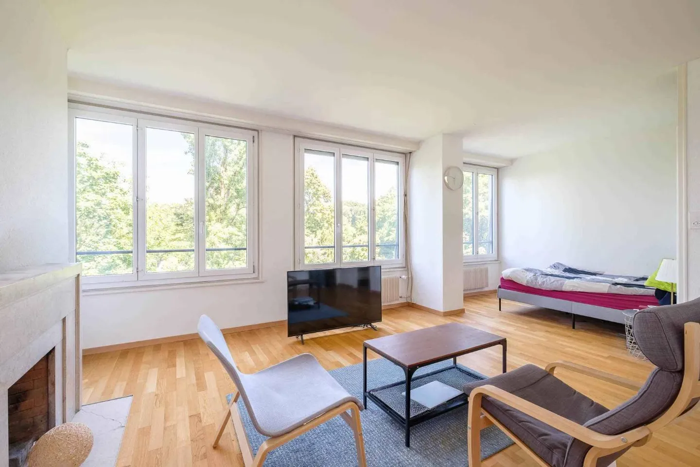 Bel Appartement avec Vue sur le Parc - Photo 2 sur 10