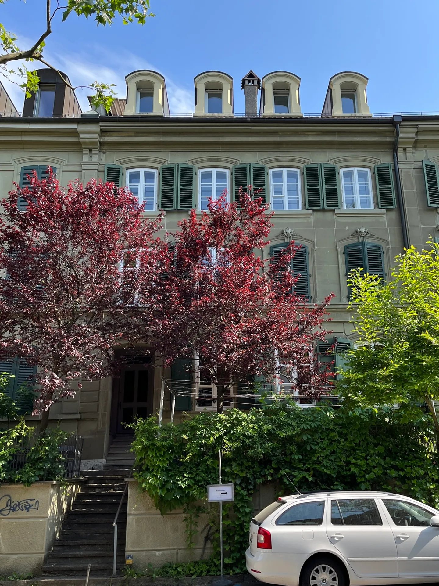 APPARTAMENTO 3½ LOCALI A BERN - MARZILI, ARREDATO, TEMPORANEO - Foto 10 di 10