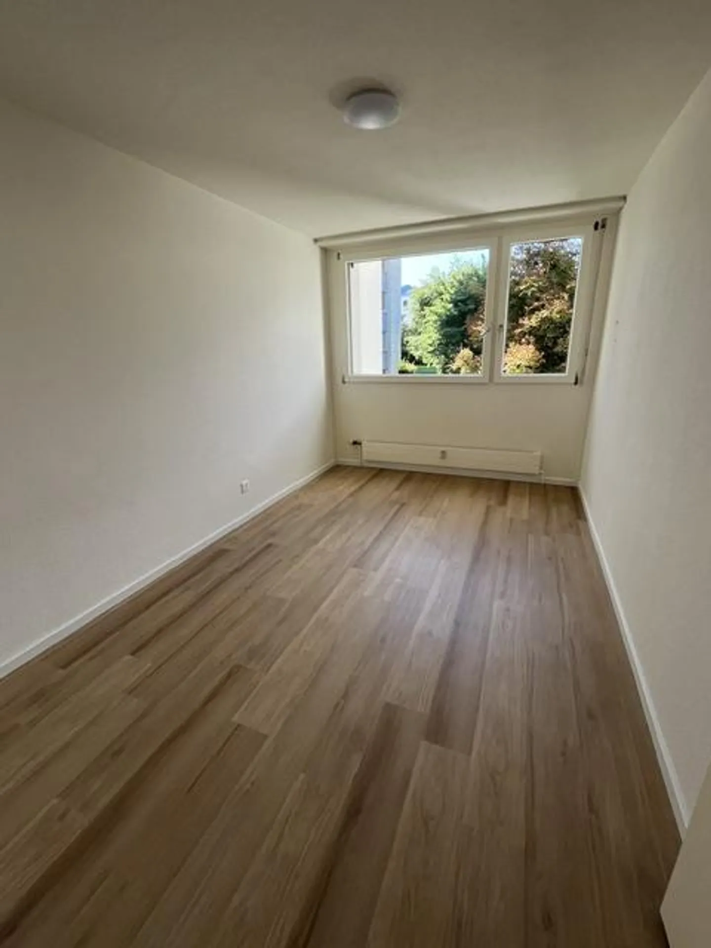 Appartamento 2.5 stanze appena ristrutturato - Foto 4 di 9
