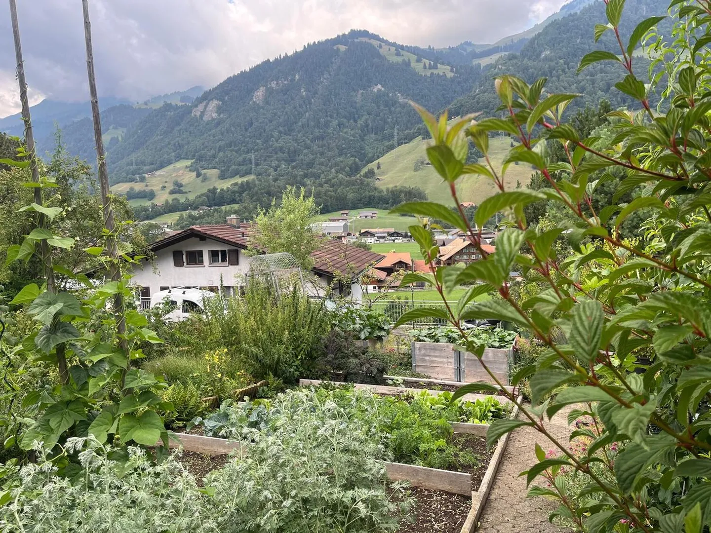 APPARTAMENTO 3 LOCALI A REICHENBACH IM KANDERTAL (BE), ARREDATO, TEMPORANEO - Foto 16 di 16