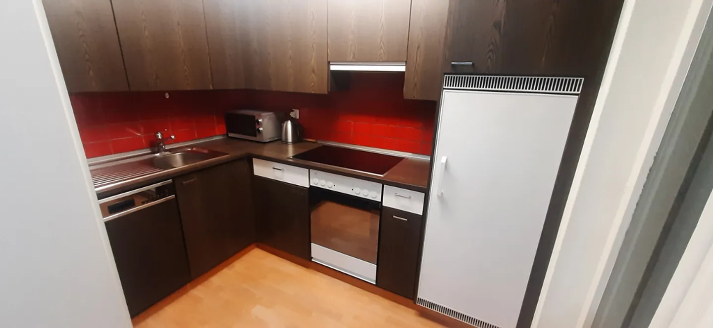 Living with a view over all of Dietlikon - Photo 6 of 11