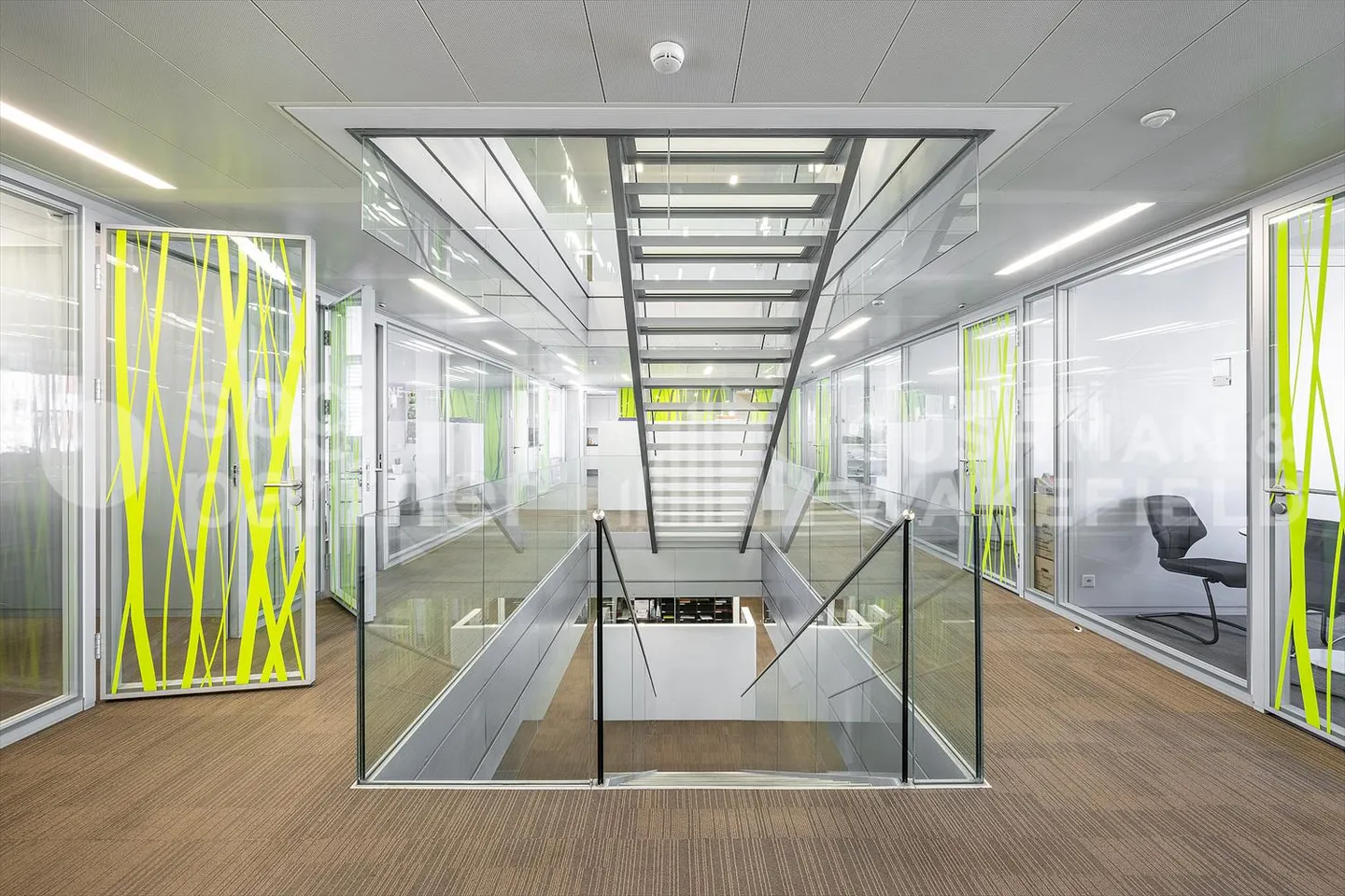 Olliquettes 10 - Foto 10 di 10