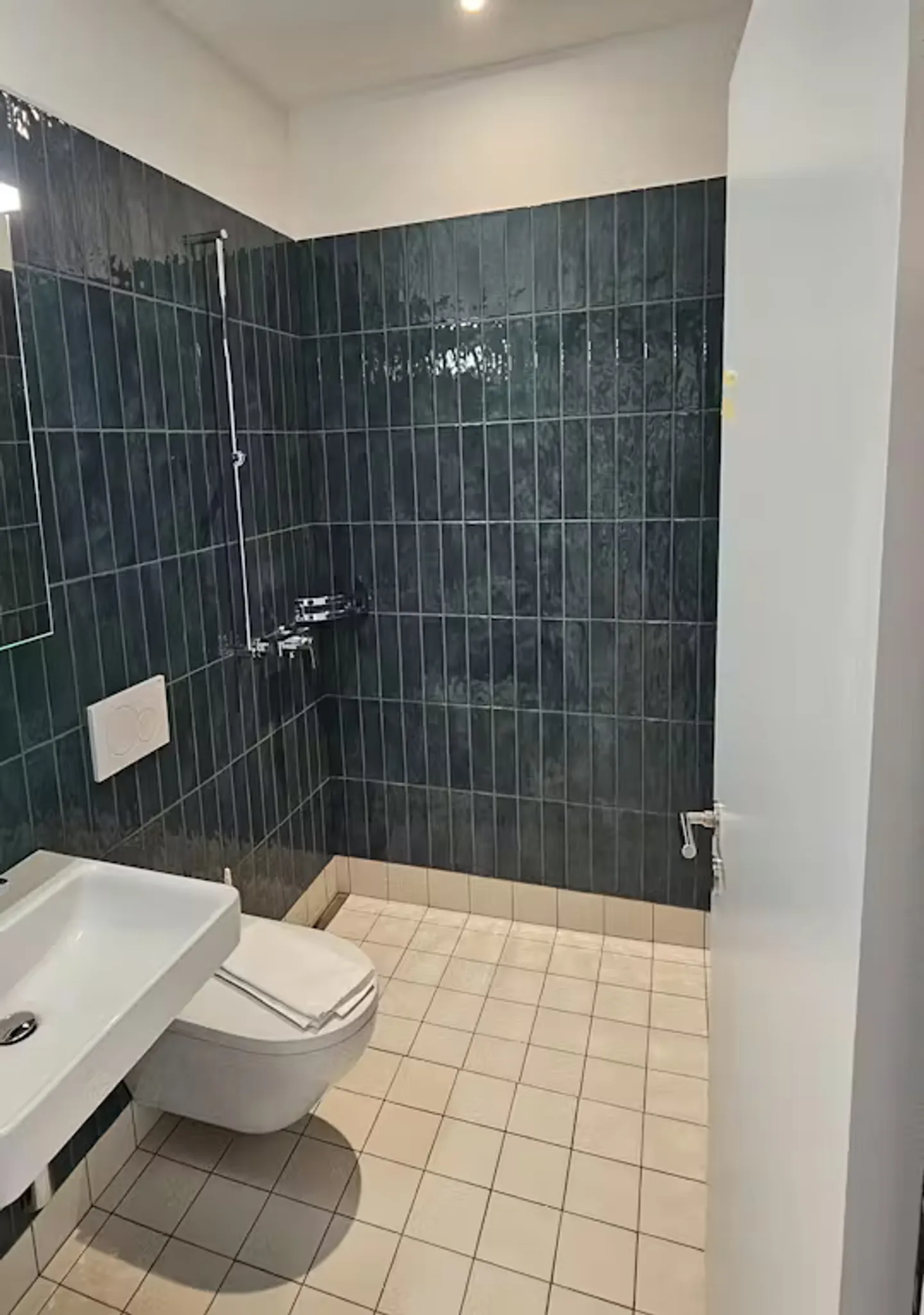 Modern Apartment in Zürich - Photo 6 of 10